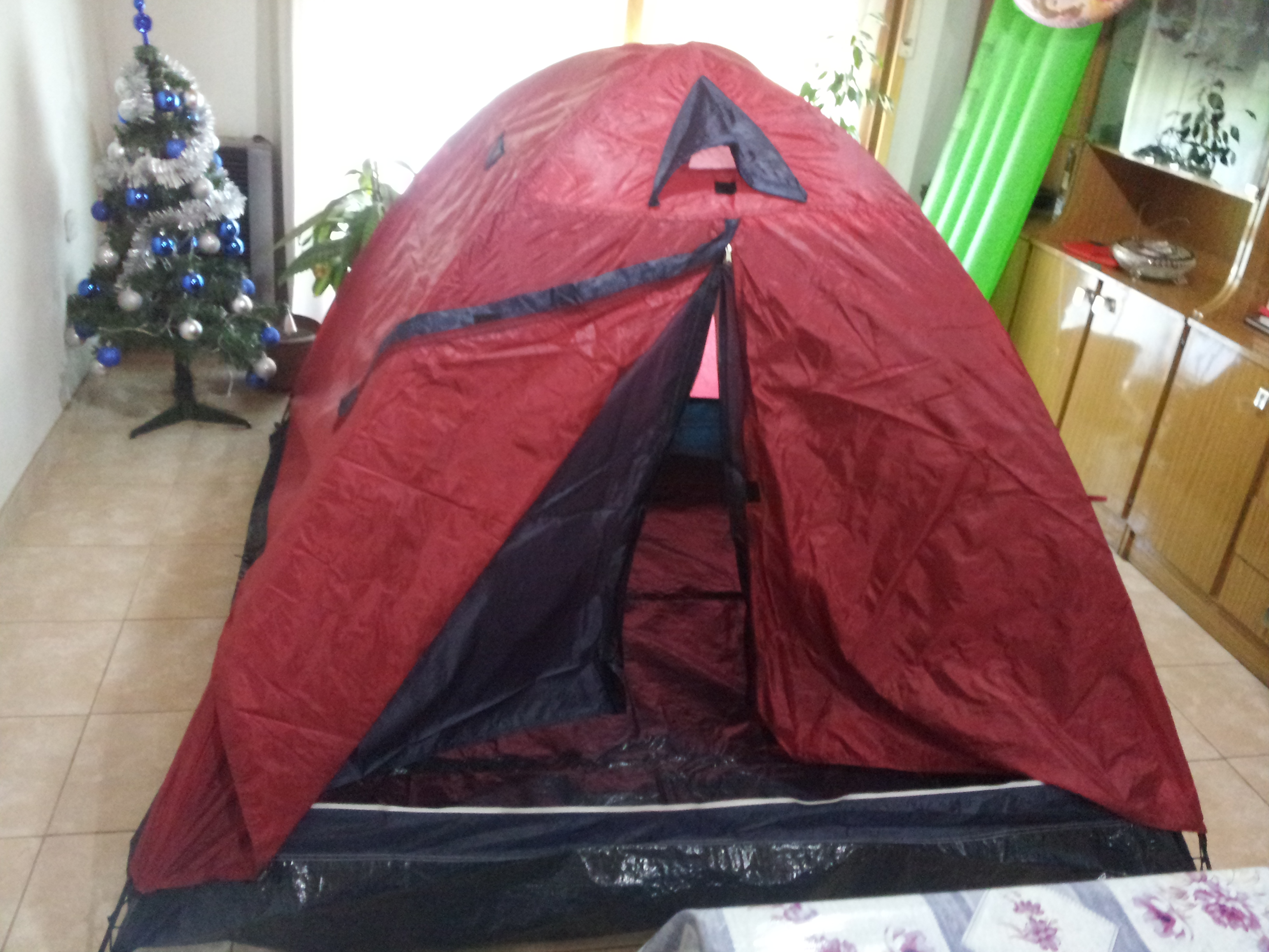 fotos/2012-12-23 - Carpa/20121223_114422.jpg